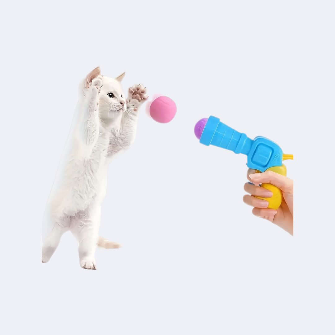 Pfotenblaster - Estoria