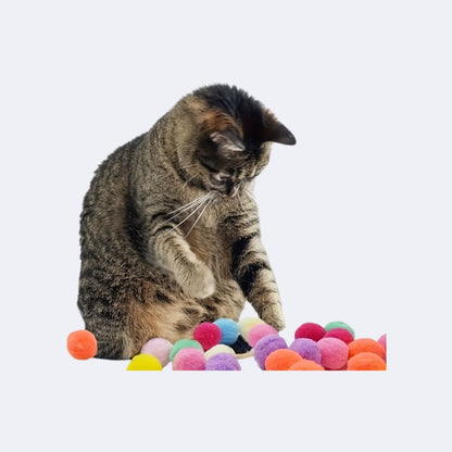 Pfotenblaster - Estoria